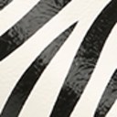 Modern Ivory/Black Zebra